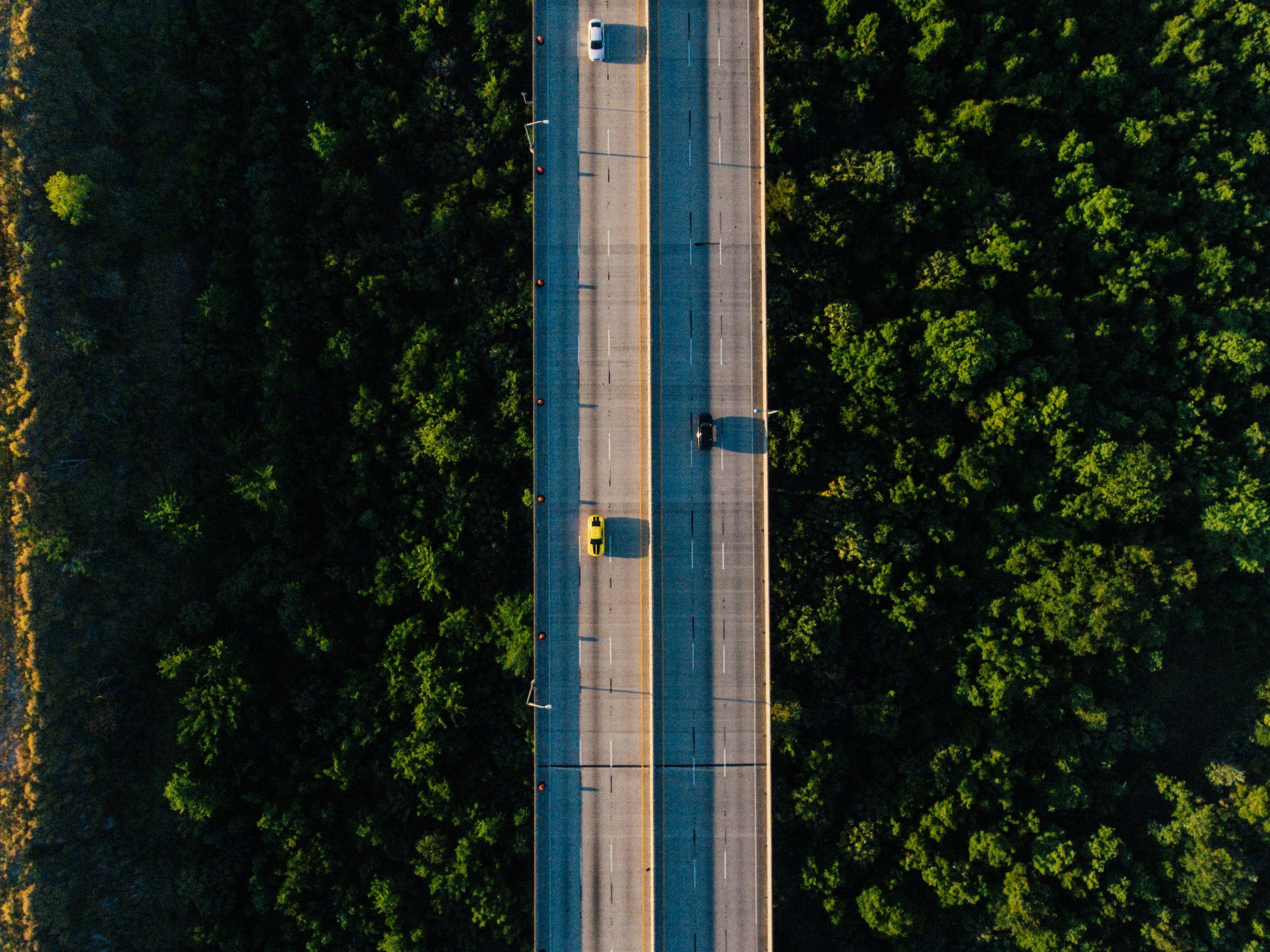 Autos auf einer Straße durch die Natur