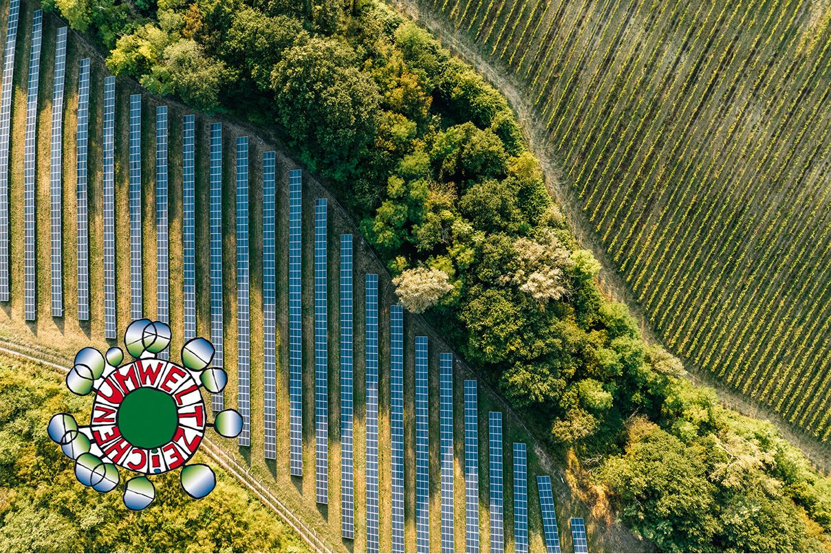 Photovoltaikanlagen, Bäume und Feld von oben