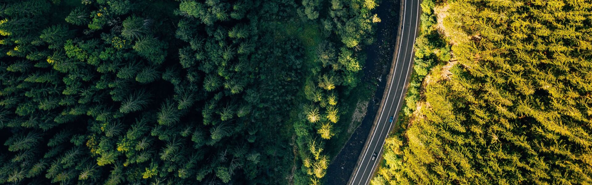 Strasse-Zukunft-Mobilitaet