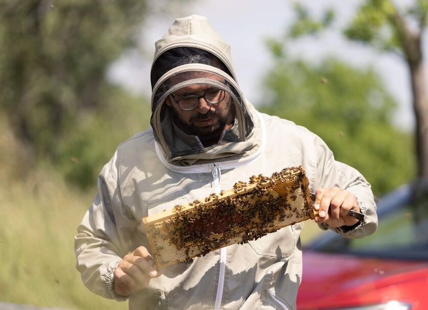 Herr Rohrauer mit seinen Bienen