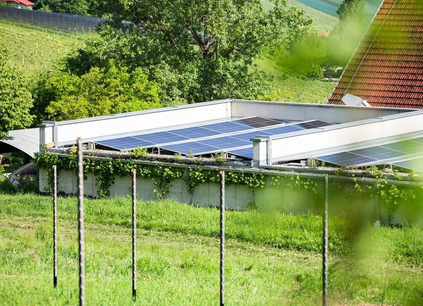 Photovoltaik-Anlage am Dach vom Weingut Polz